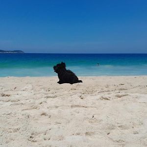 Charmosa Cobertura Em Ipanema Na Quadra Da Praia De Quarto, Sala, Terraco E Sauna
